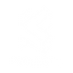 Project K Group